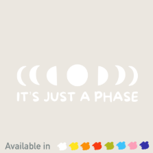 Its Just a Phase Decal, Book Besties Bookstore