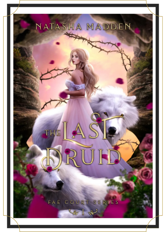 The Last Druid by Natasha Madden, Book Besties Bookstore